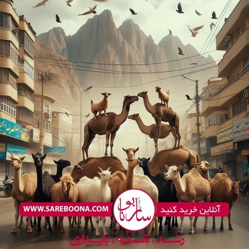 فواید شگفت‌انگیز درجه 1 محصولات شتر و بز را از ساربونا در ارومیه تجربه کنید!